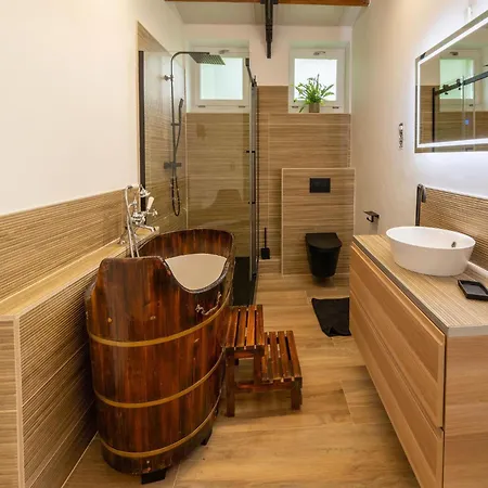 With Indoor Swimming Pool Goesnes